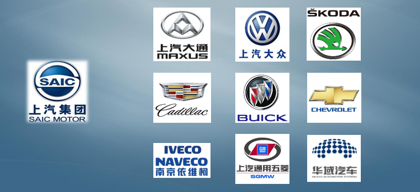 国内客户分布